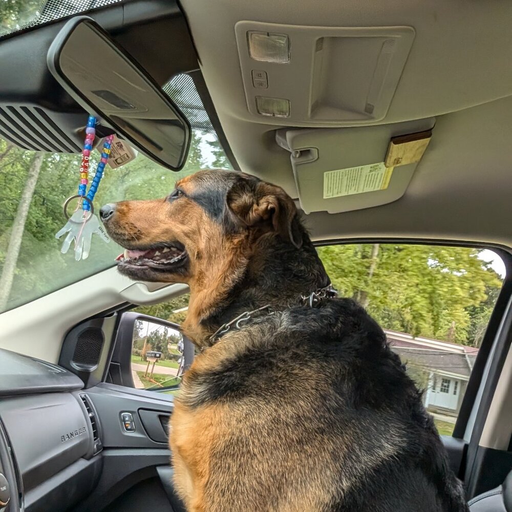 Meet your Posher, Bill